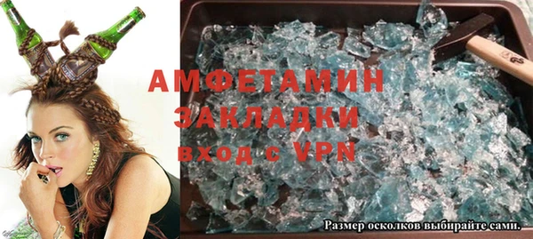 индика Бородино