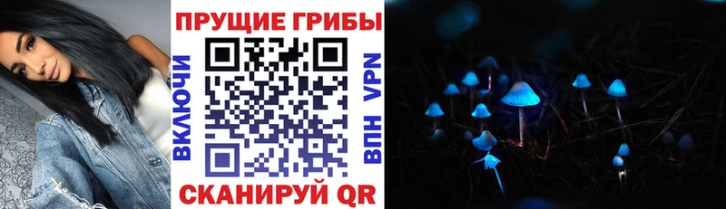 закладки  Сретенск  гидра вход  Галлюциногенные грибы Psilocybe 